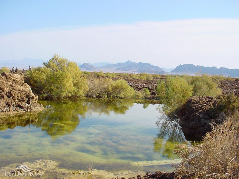 حوضچه‌های حاصل از آبهای سطحی کویر عقدا